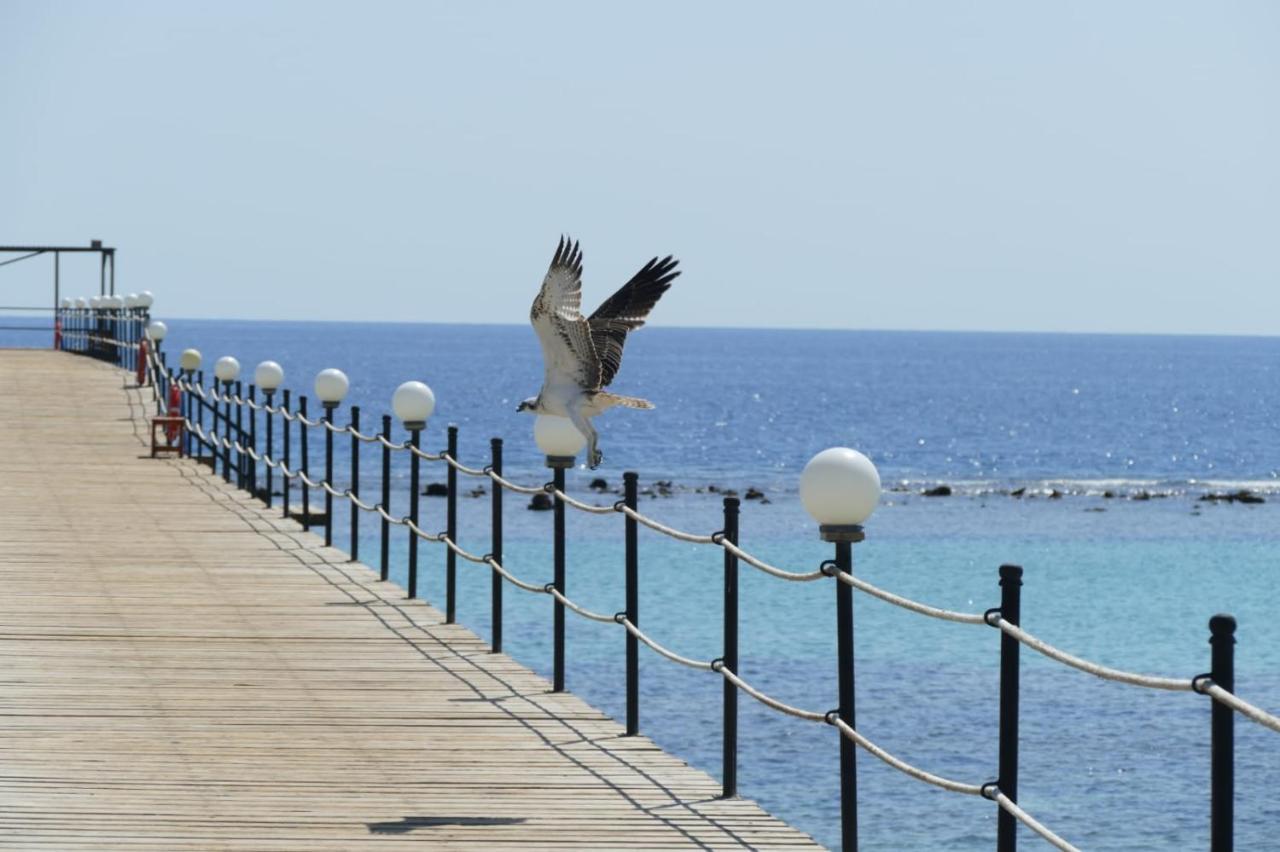 Wadi Lahmy Azur Resort - Soft All-Inclusive Abū Ghuşūn Exteriör bild